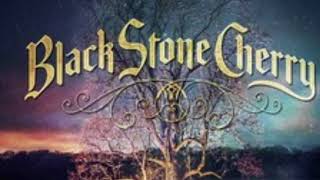 New Kinda Feelin&#39;-Black Stone Cherry