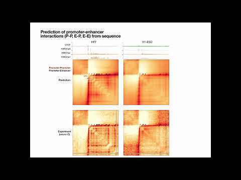 Sequence-based modeling of genome 3D architecture... - Jian Zhou - RegSys - Talk - ISMB/ECCB 2021
