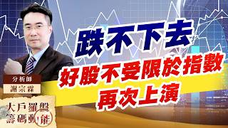 跌不下去 好股不受限於指數再次上演｜大戶羅盤籌碼動能 ｜謝宗霖 (圖)