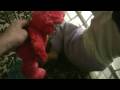Elmo Inc Christmas