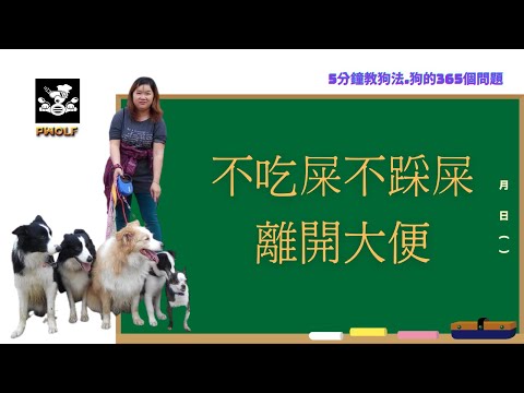 踩狗大便