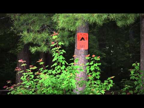 Jesse Parent - Bon Echo