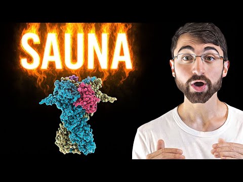 How Heat Transforms Your Body (Heart, Brain, Appetite & More)