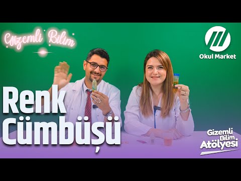 Renk Dansı