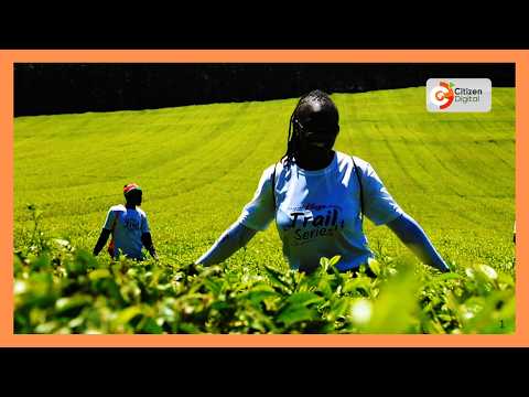 Serikali imewataka wawekezaji katika sekta ya Kilimo kuwajali wakulima wadogo