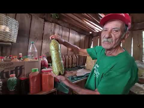 Zé Rosa: nosso guardião de sementes no território Vale do São Patrício (GO).