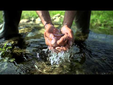 muck chore met guard