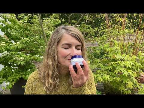 Tipper's Edit | Esfoliante facial com mel e laranja | Neal's Yard Remedies