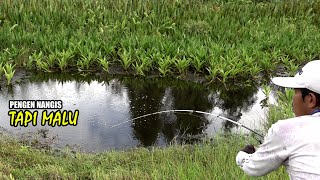 Download lagu Gilakk men!!!! Mancing seperti ditarik 100 kerbau #SG-373 mp3 Download lagu Gilakk men!!!! Mancing seperti ditarik 100 kerbau #SG-373 mp3