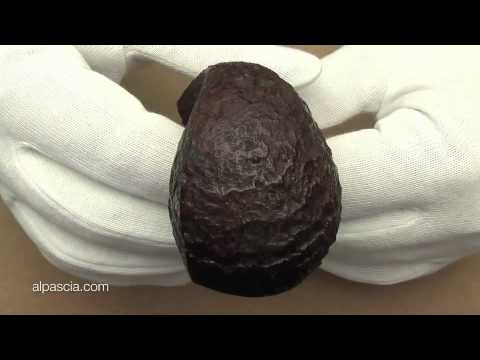 pipa Frank Axmacher 099 - smoking pipe