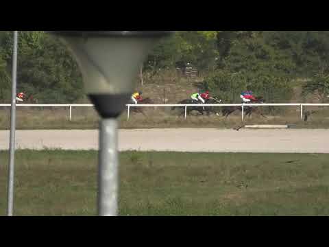 Trka "Kentish Dream" 03.10.2021 Alkatraz - Saša Glogovac