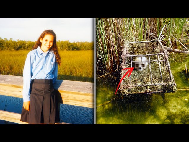 Vídeo relacionado con Sher & Lock 1 - El caso de los plátanos desaparecidos (Ficción Kids)
