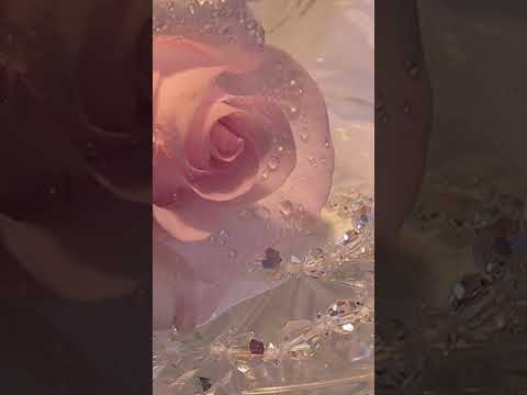 Whispers- Dave Baxter (1~hour)