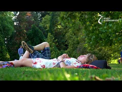 BEETHOVENNEL A SZABADBAN 2018 - Nemzeti Filharmonikusok - Martonvásár