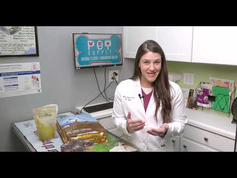 Pet Talk | Pet Nutrition 101