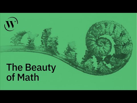 Find the “inherent beauty” in math, in 2 minutes  | Talithia Williams