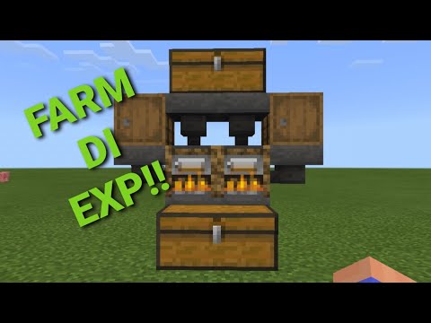 Come COSTRUIRE una FARM di ESPERIENZA efficiente!!!