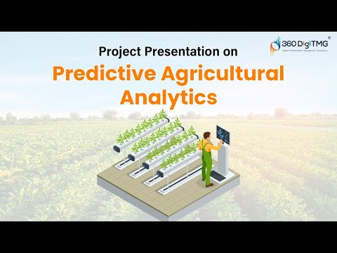 Fraud Analytics Mobile Wallet Transactions | Project Presentation | Data Science | 360DigiTMG