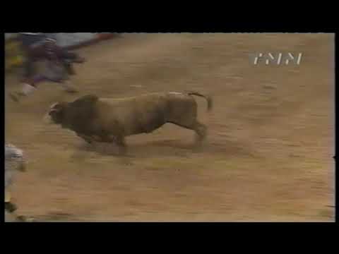 Spin Doctor bucks Robert Bowers - 99 PBR Finals