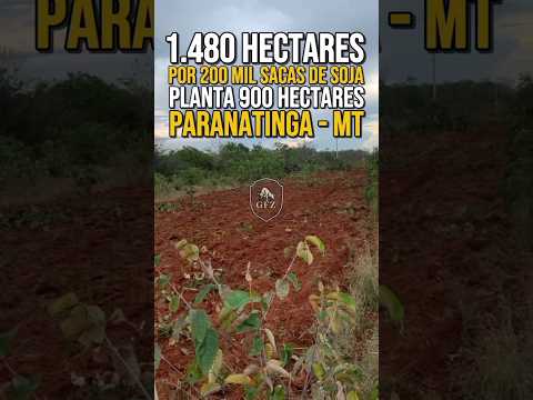 [ PLANTA 800 A 900 HECTARES ] - FAZENDA A VENDA NO MATO GROSSO - REGIÃO DE PARANATINGA