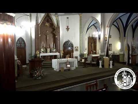 Feast of the Dedication of the Lateran Basilica in Rome 6 PM Mass