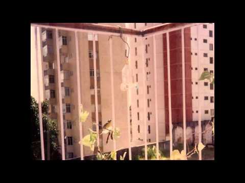 Odontologia   Formatura UEFS TURMA 2011 2