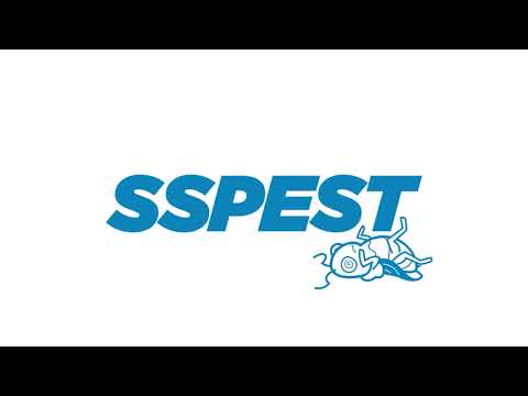 Pest Control Sydney - The General Pest $190