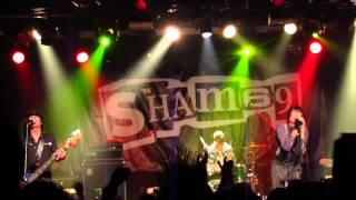 Sham 69 - Ulster (Punk And Disorderly 2014 Berlin) [HD]