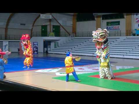 [La nuit des Arts Martiaux à Saintes] Danse de la Licorne.