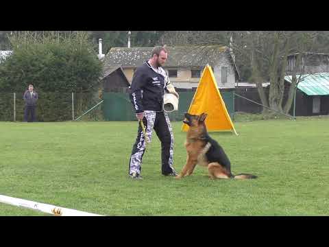 Svod NO 2017 - Sid Irluka