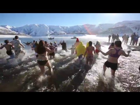 The Great Polar Bear Challenge