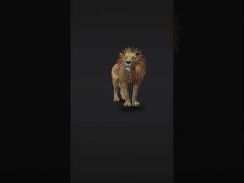 Lion 3D animation #shorts