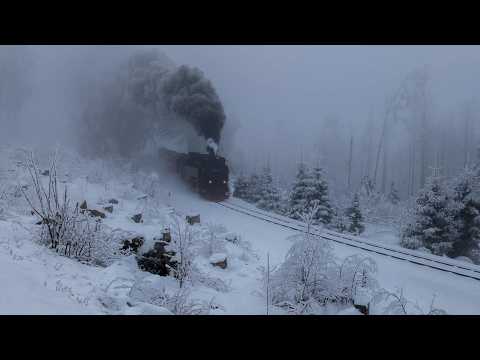 Geschlossene Schneedecke im Harz! Brockenbahn im Januar 2026