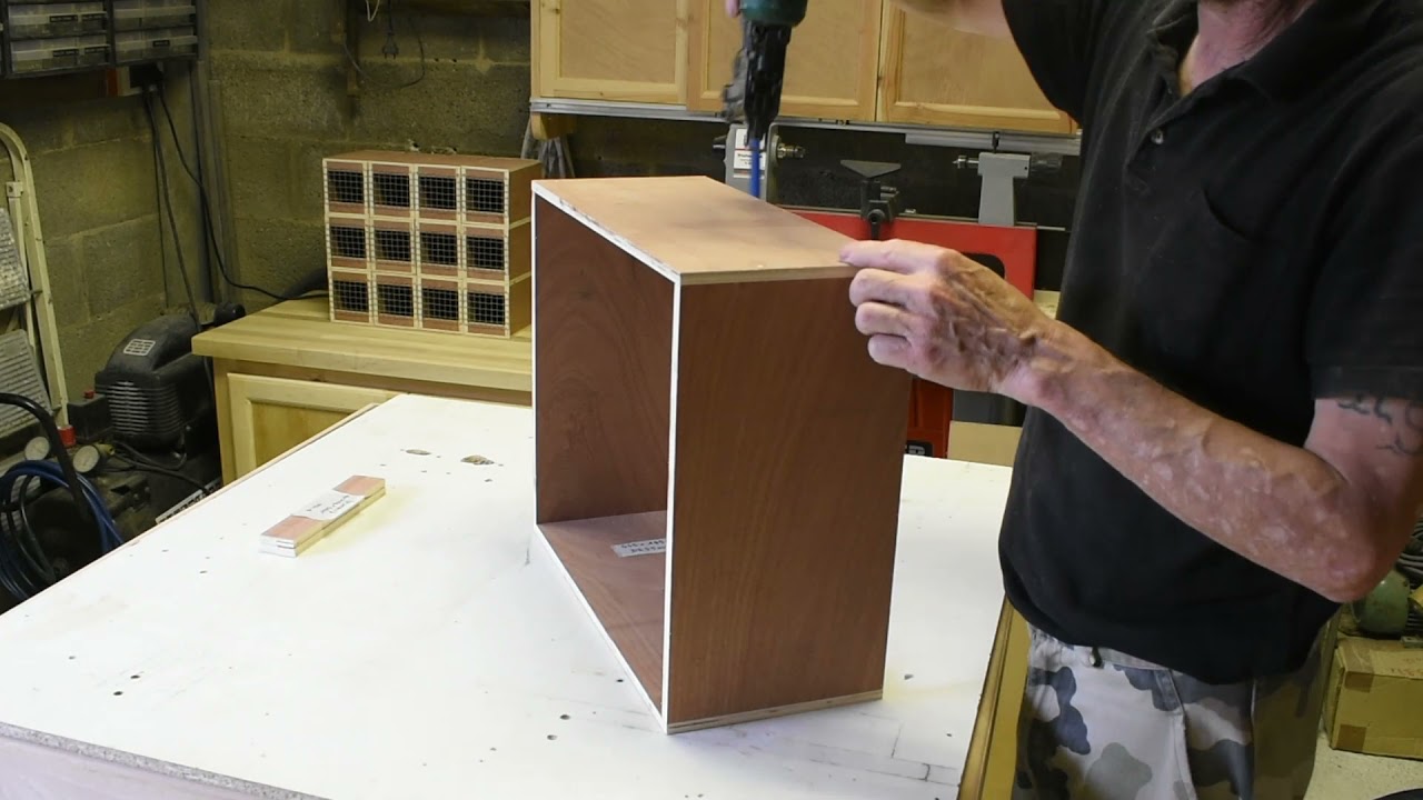 Padda de Java. Cageot de transport