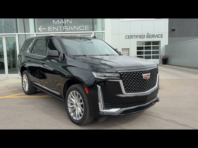 2023 Cadillac Escalade Premium Luxury in Cars & Trucks in Edmonton