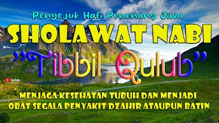 Download lagu Sholawat Nabi Allahumma Sholli Ala Sayyidina Muhammad Sholawat TIBBIL QULUB Merdu Penyembuh Sakit mp3