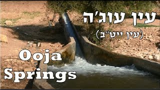 עין עוג'ה (עין ייט"ב)  ooja springs