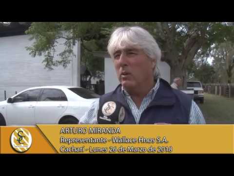 26-03-18 Nota Arturo Miranda - Wallace Hnos S.A. - Cacharí.