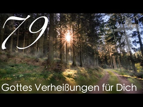 Gottes Verheißungen für Dich - 1. Timotheus 4,8 | Videokalender 79/365 - Deutschland braucht JESUS