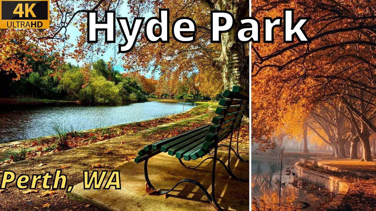 Dive into a walking tour at Hyde Park.