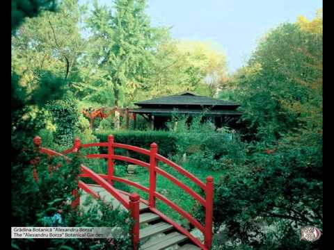 FRUMOS E CAMPUL VERDE