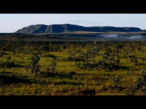 GLOBO REPORTER - CERRADOS - 26-02- 2021