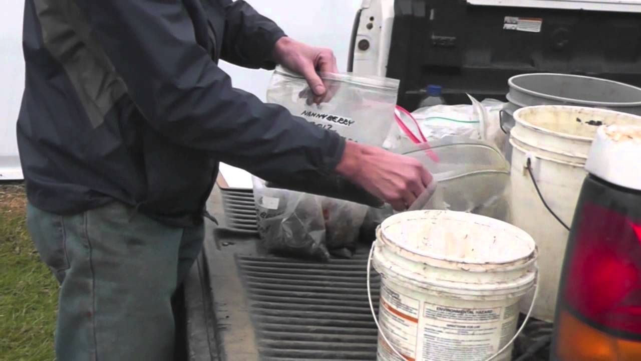 Direct Seeding Part 1