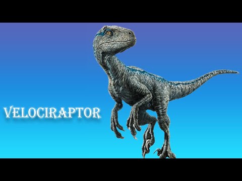 Velociraptor vs Tsintaosaurus and Troodon (Part - 1)