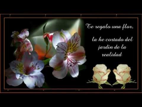 download lagu mp3 mp4 Poema A Las Flores, download lagu Poema A Las Flores gratis, unduh video klip Poema A Las Flores