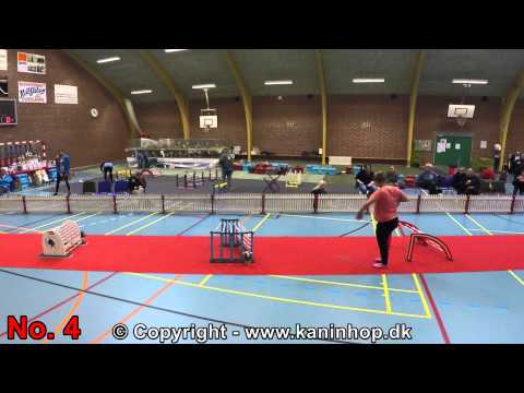 Danish Championships 2015 in Rabbit Hopping - Elite straight - TOP 10