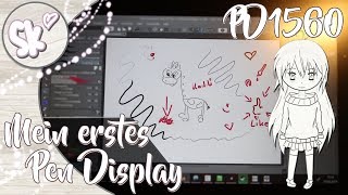 Mein erstes Pen Display - Das Gaomon PD1560  *NOT SPONSORED*