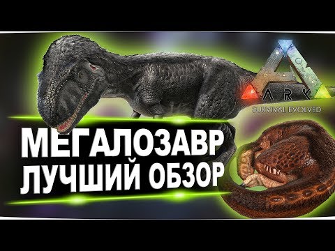 Мегалозавр (Megalosaurus) в АРК. Лучший обзор: приручение, разведение и способности в ark.