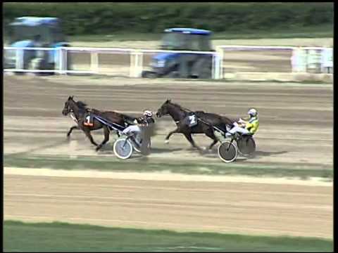 Trotto 21/09/2014 - 1° prova di riqualifica