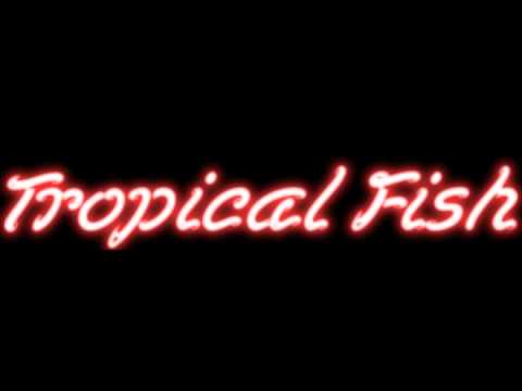 Tropical Fish - Back into time